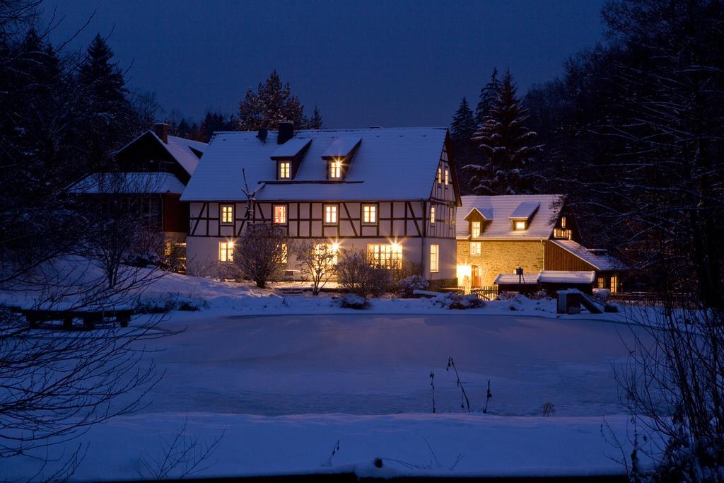 Romantik Hotel Landhaus Baerenmuehle Frankenau Exterior photo