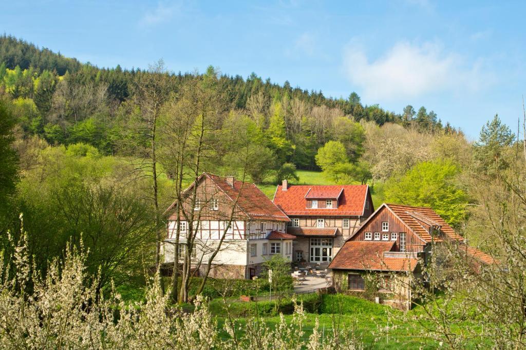 Romantik Hotel Landhaus Baerenmuehle Frankenau Exterior photo